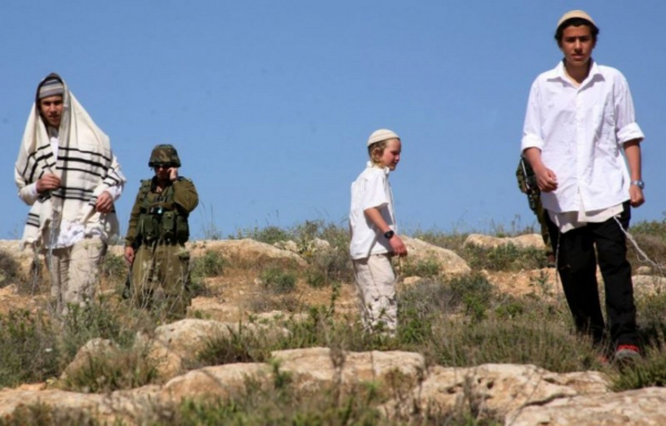 خبراء أمميون: تدمير الاحتلال المستمر لممتلكات المواطنين في الاغوار يتسبب في معاناة 60 فلسطينياً