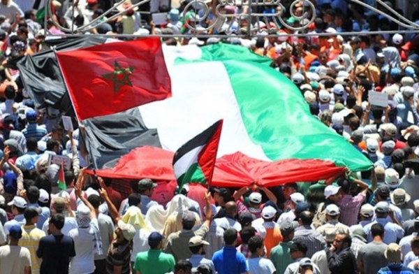 المغرب.. مطالبات بإلغاء صفقة تدليسية مع شركة صهيونية